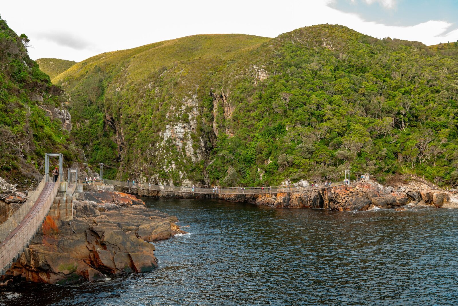 The suspension bridge across the Storms River mouth in the Tsitsikamma forest.
